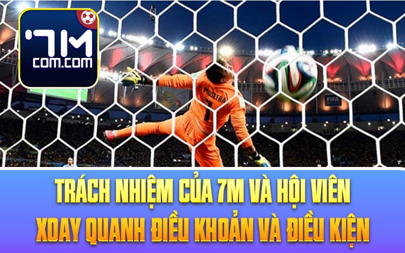 Trách nhiệm của 7M và hội viên xoay quanh Điều Khoản Và Điều Kiện