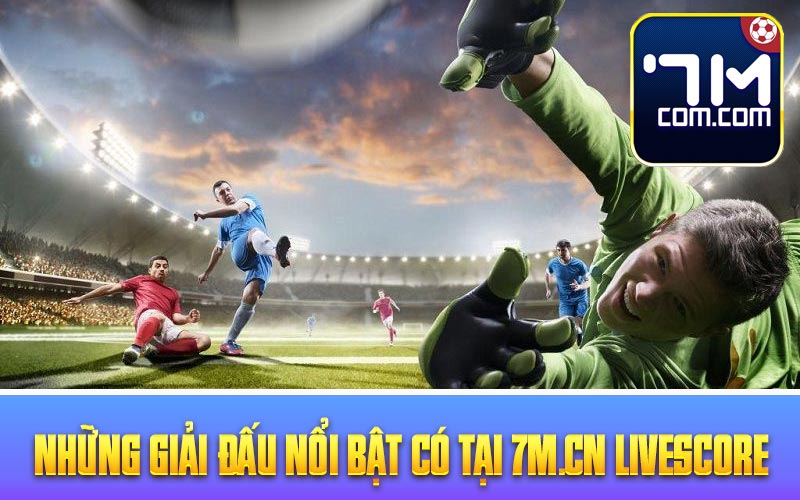 Những giải đấu nổi bật có tại 7m.cn livescore