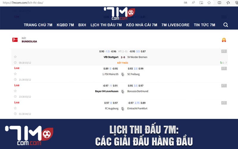 Lịch thi đấu 7m: Các giải đấu hàng đầu