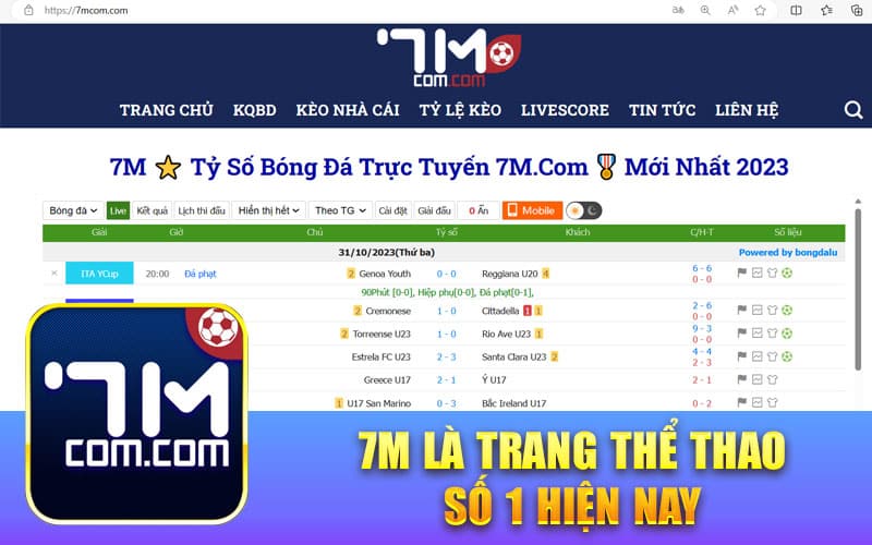 7m là trang thể thao số 1 hiện nay