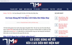 Cá Cược Bùng Nổ Với Kèo 2.5/3 Siêu Hot Hiện Nay