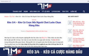 Kèo 3/4 – Kèo Cá Cược Hàng Đầu